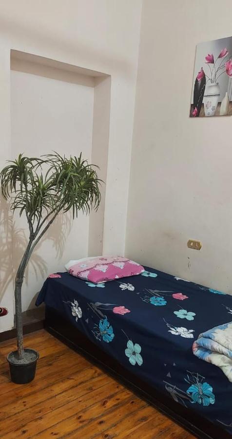 Grand Safari Hostel القاهرة المظهر الخارجي الصورة